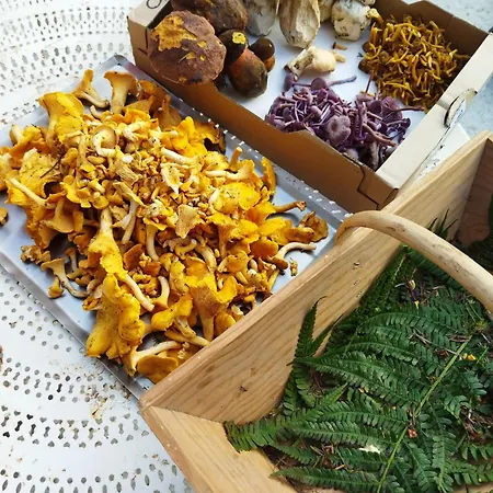 Moulin De Joumard, Gîtes, Et Table D'hôtes De Charme , Jacuzzi, Sauna, Piscine Et Bain Nordique Etablissement 4 étoiles