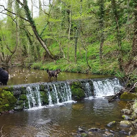 Moulin De Joumard, Gites, Et Table D'hotes De Charme , Jacuzzi, Sauna, Piscine Et Bain Nordique Etablissement 4 Etoiles Nocleg ze śniadaniem Aubazat
