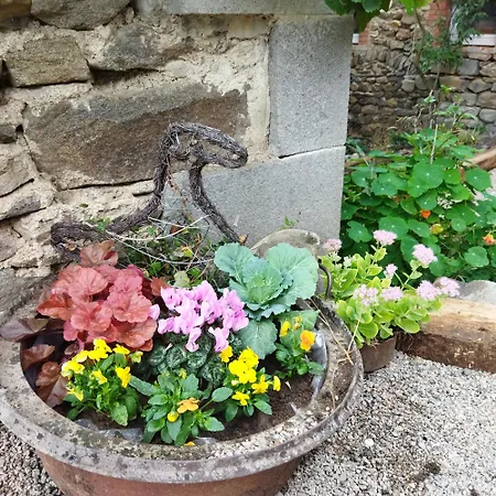 Bed & Breakfast Moulin De Joumard, Gites, Et Table D'hotes De Charme , Jacuzzi, Sauna, Piscine Et Bain Nordique Etablissement 4 Etoiles