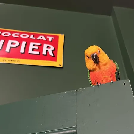 Bed & Breakfast Moulin De Joumard, Gites, Et Table D'hotes De Charme , Jacuzzi, Sauna, Piscine Et Bain Nordique Etablissement 4 Etoiles Aubazat