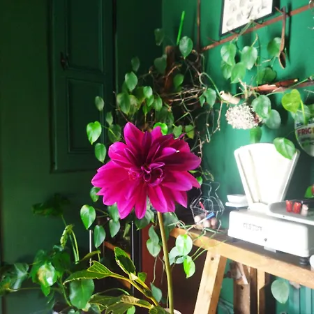 Moulin De Joumard, Gîtes, Et Table D'hôtes De Charme , Jacuzzi, Sauna, Piscine Et Bain Nordique Etablissement 4 étoiles 4* Aubazat